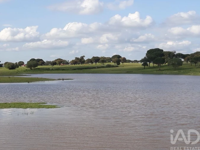 Terreno para Venda em Poceirão e Marateca Foto 25