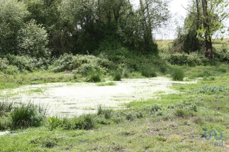 Terreno para Venda em Poceirão e Marateca Foto 9