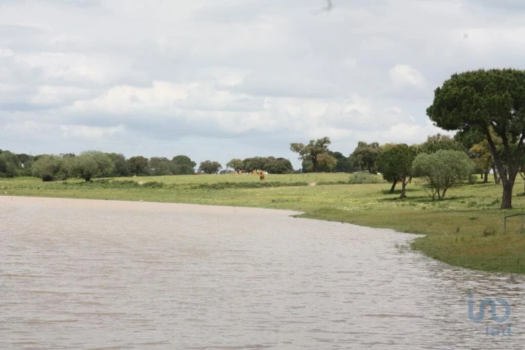 Terreno para Venda em Poceirão e Marateca Foto 4