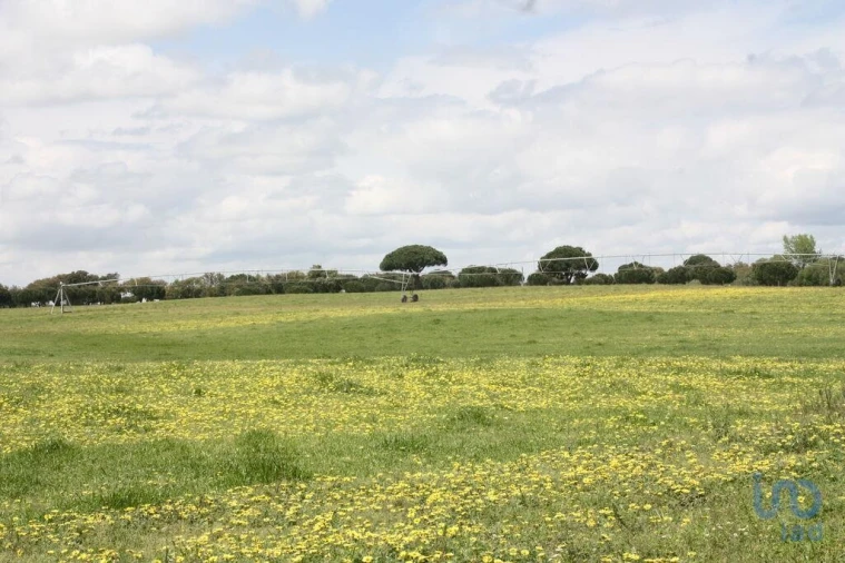 Terreno para Venda em Poceirão e Marateca Foto 8