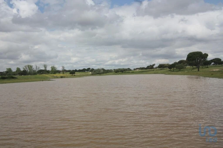 Terreno para Venda em Poceirão e Marateca Foto 5