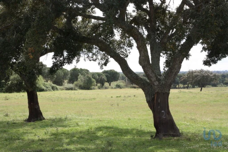 Terreno para Venda em Poceirão e Marateca Foto 12