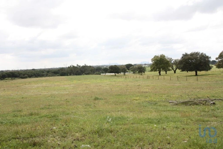 Terreno para Venda em Poceirão e Marateca Foto 11