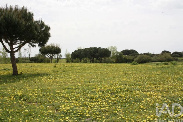 Terreno para Venda em Poceirão e Marateca Foto 15
