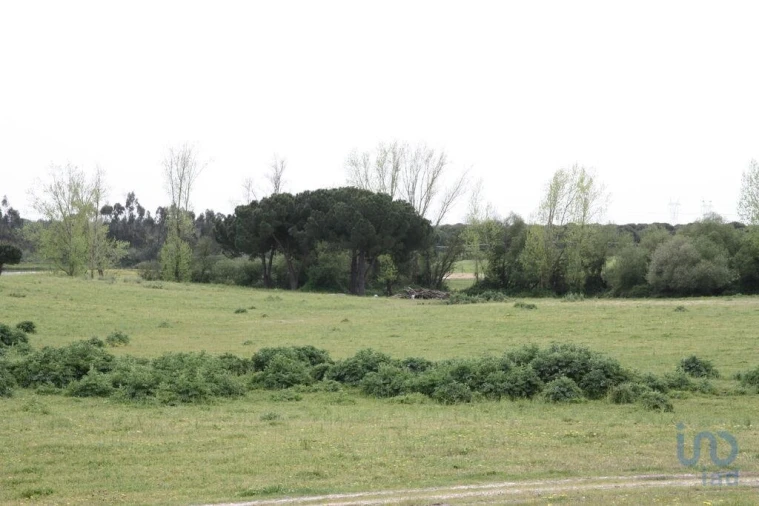 Terreno para Venda em Poceirão e Marateca Foto 13