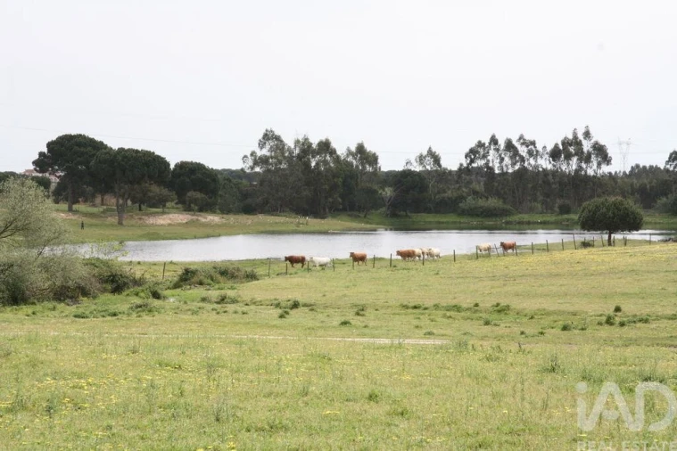 Terreno para Venda em Poceirão e Marateca Foto 16