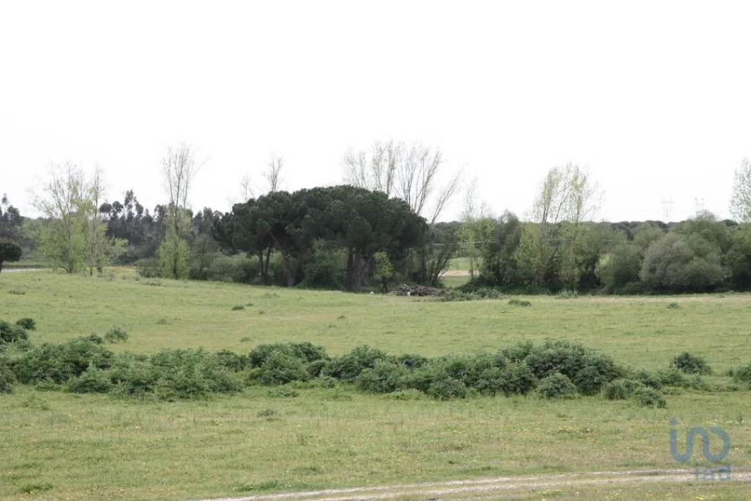 Terreno para Venda em Poceirão e Marateca Foto 13