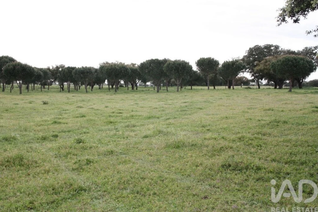 Terreno para Venda em Poceirão e Marateca Foto 24
