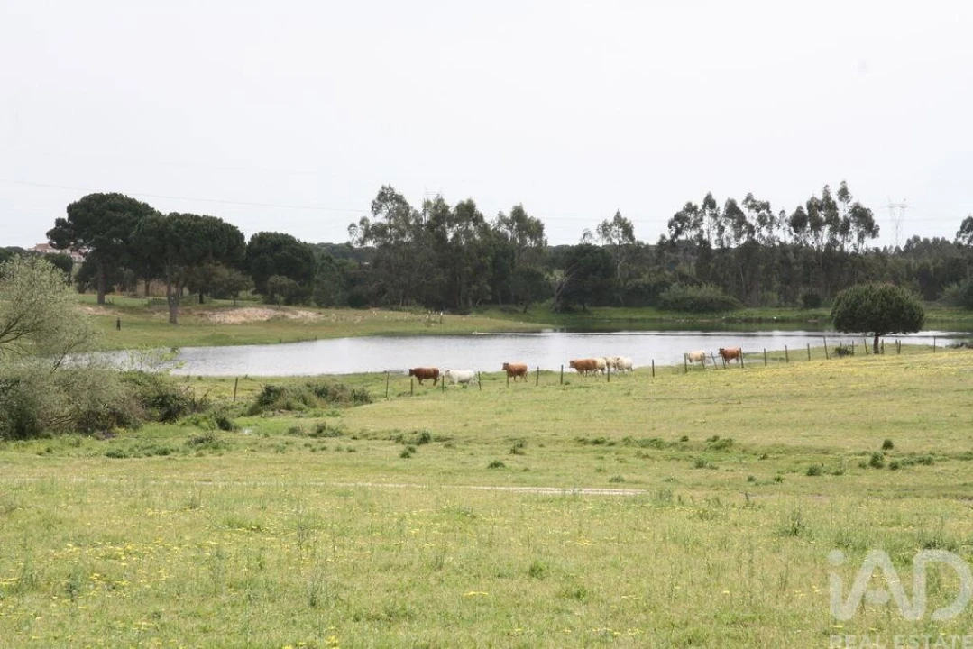Terreno para Venda em Poceirão e Marateca Foto 16