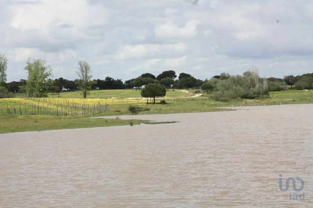 Terreno para Venda em Poceirão e Marateca Foto 7
