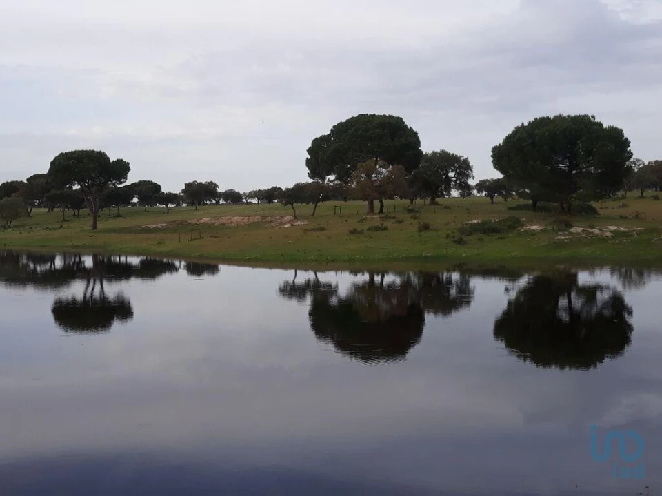 Terreno para Venda em Poceirão e Marateca Foto 3