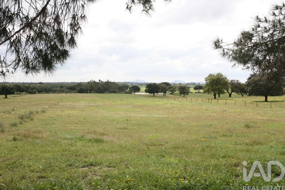 Terreno para Venda em Poceirão e Marateca Foto 16