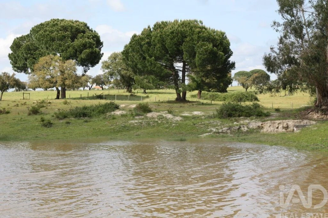 Terreno para Venda em Poceirão e Marateca Foto 28