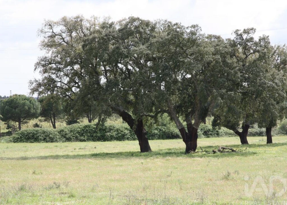 Terreno para Venda em Poceirão e Marateca Foto 18
