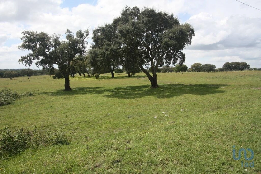 Terreno para Venda em Poceirão e Marateca Foto 9