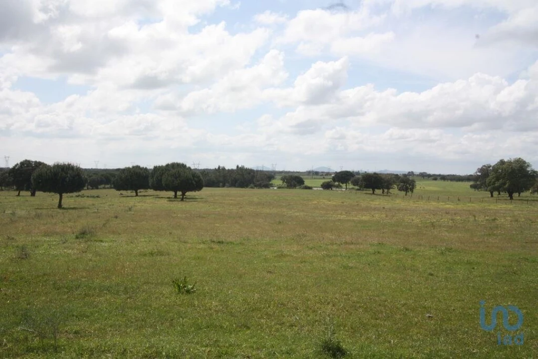 Terreno para Venda em Poceirão e Marateca Foto 14