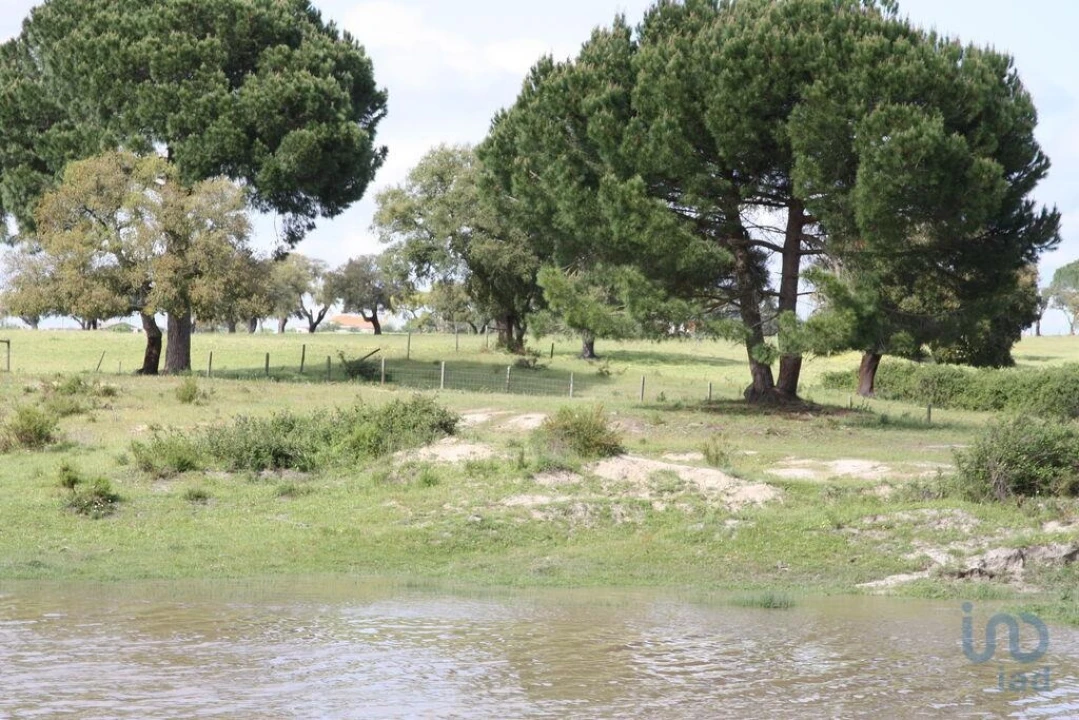Terreno para Venda em Poceirão e Marateca Foto 6