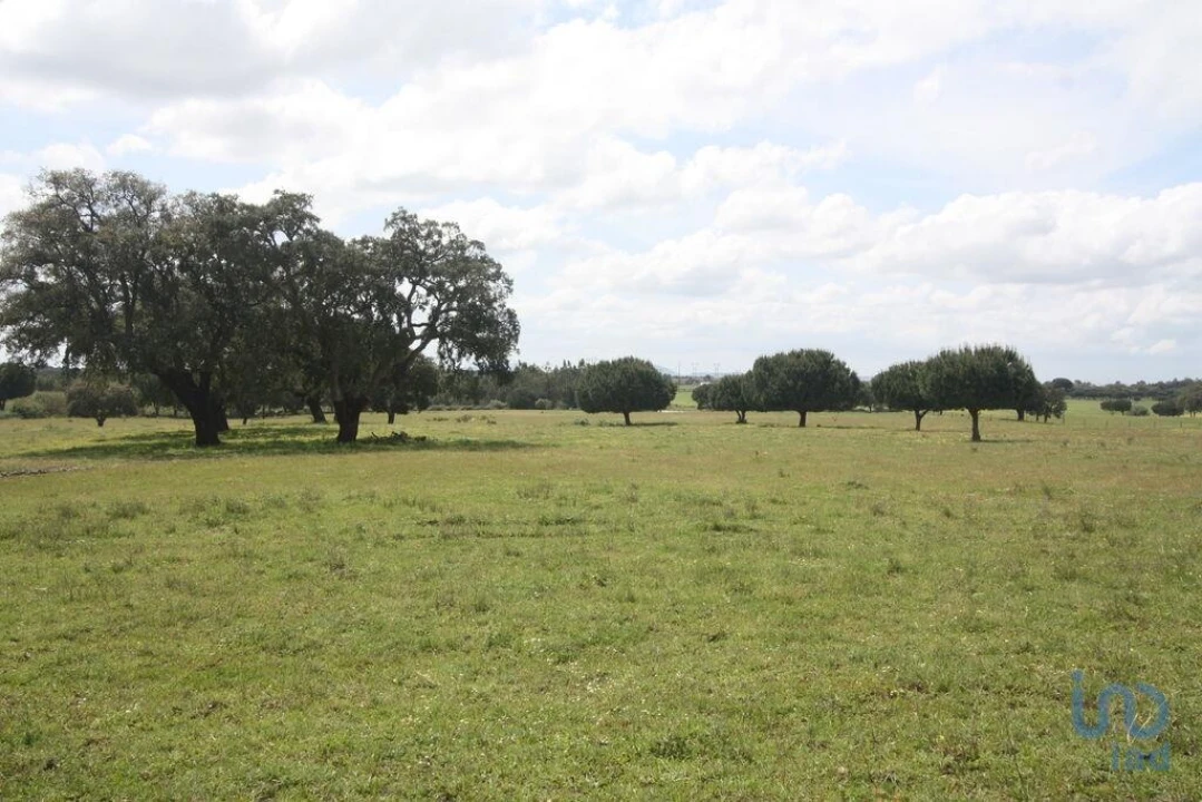 Terreno para Venda em Poceirão e Marateca Foto 10