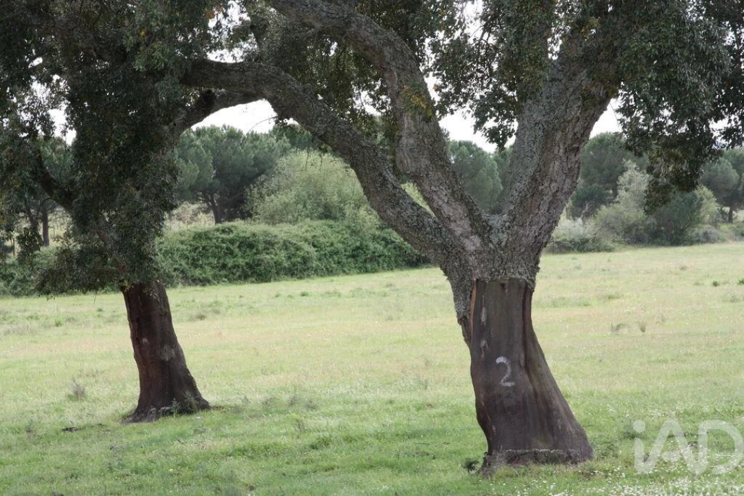 Terreno para Venda em Poceirão e Marateca Foto 22