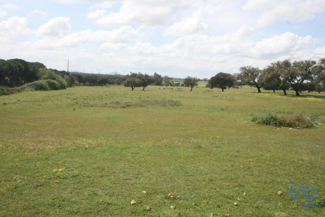 Terreno para Venda em Poceirão e Marateca Foto 8