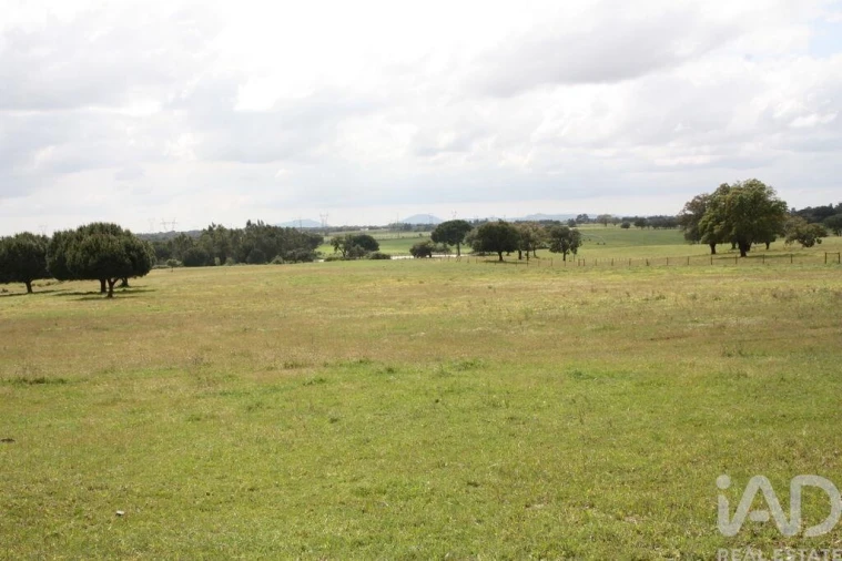 Terreno para Venda em Poceirão e Marateca Foto 17
