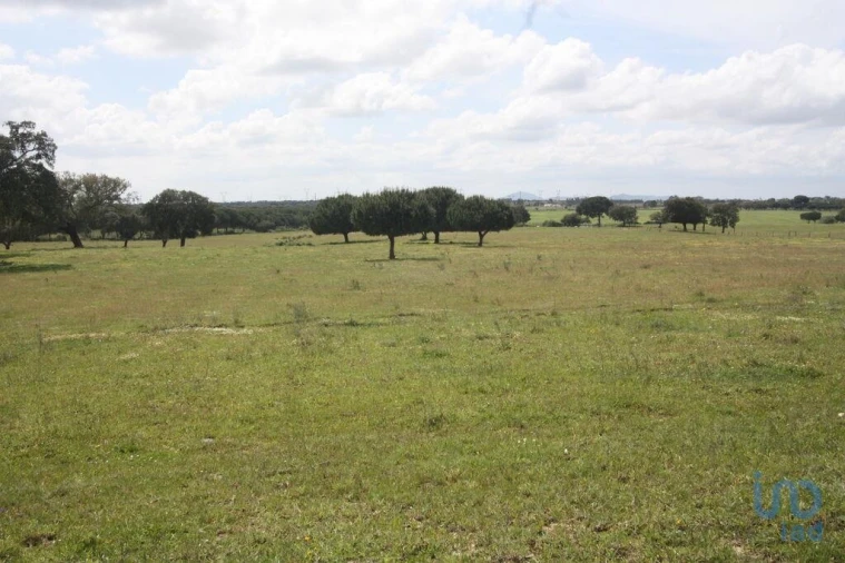 Terreno para Venda em Poceirão e Marateca Foto 12