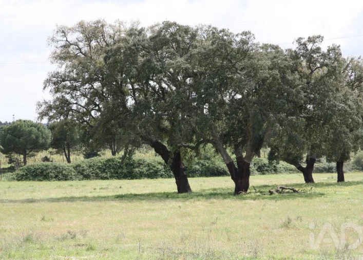 Terreno para Venda em Poceirão e Marateca Foto 18