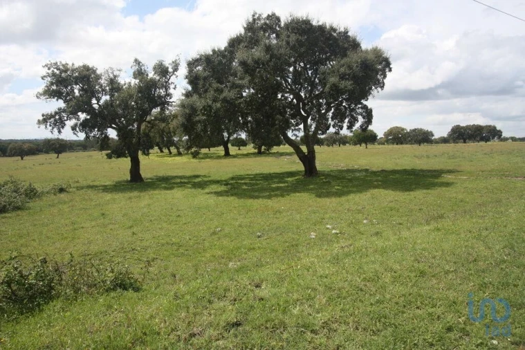 Terreno para Venda em Poceirão e Marateca Foto 9