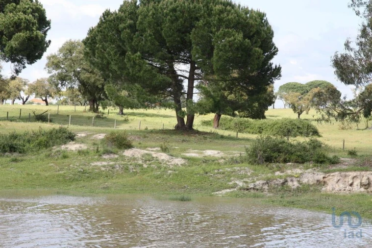 Terreno para Venda em Poceirão e Marateca Foto 7