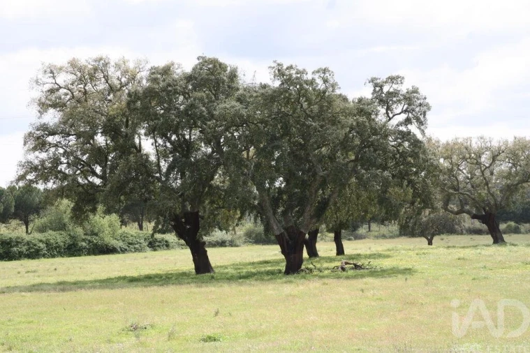 Terreno para Venda em Poceirão e Marateca Foto 19