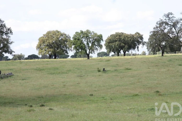 Terreno para Venda em Poceirão e Marateca Foto 25