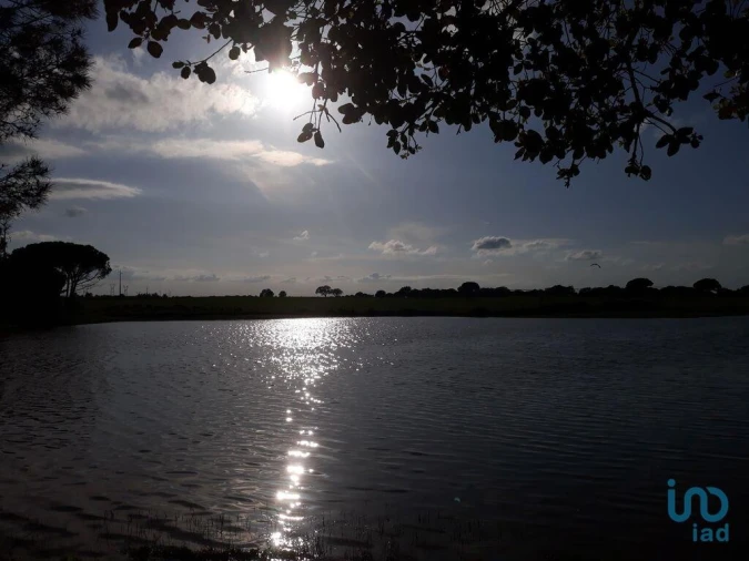 Terreno para Venda em Poceirão e Marateca Foto 1