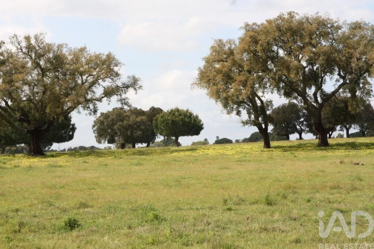 Terreno para Venda em Poceirão e Marateca Foto 24