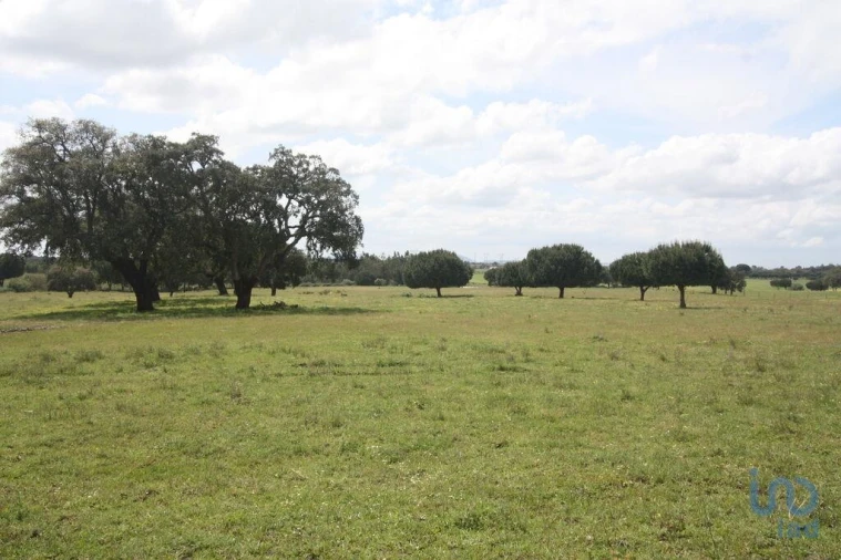 Terreno para Venda em Poceirão e Marateca Foto 10