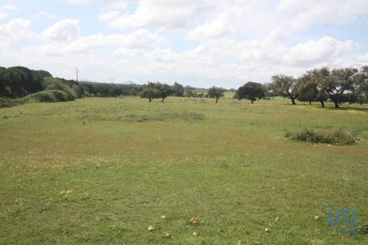 Terreno para Venda em Poceirão e Marateca Foto 8