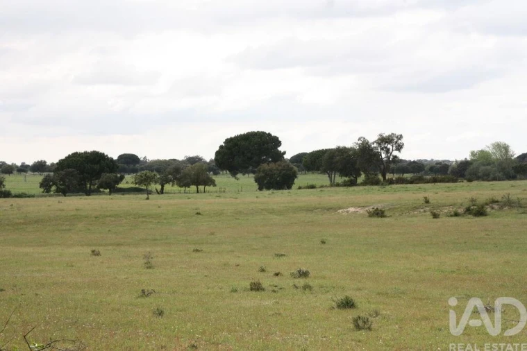 Terreno para Venda em Poceirão e Marateca Foto 26