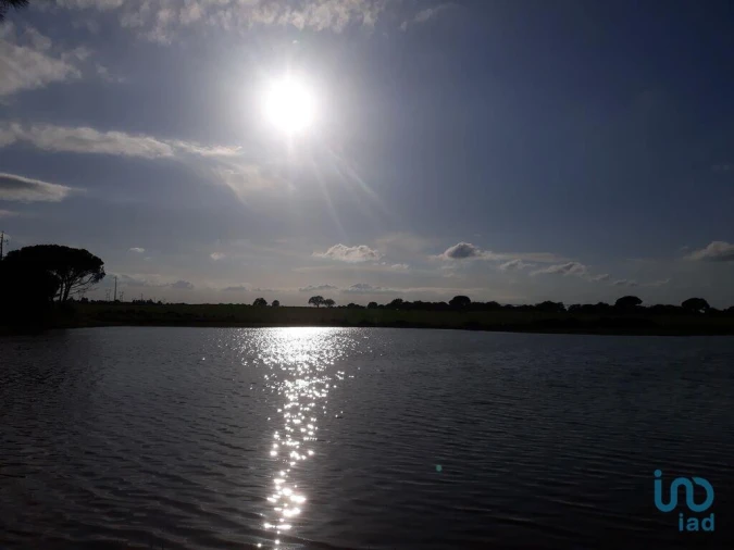 Terreno para Venda em Poceirão e Marateca Foto 2
