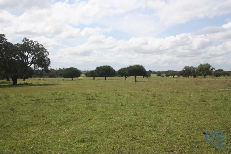 Terreno para Venda em Poceirão e Marateca Foto 11