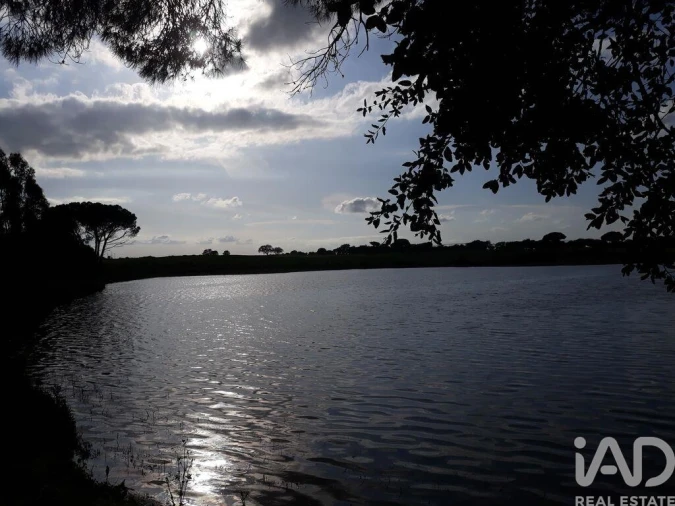 Terreno para Venda em Poceirão e Marateca Foto 30