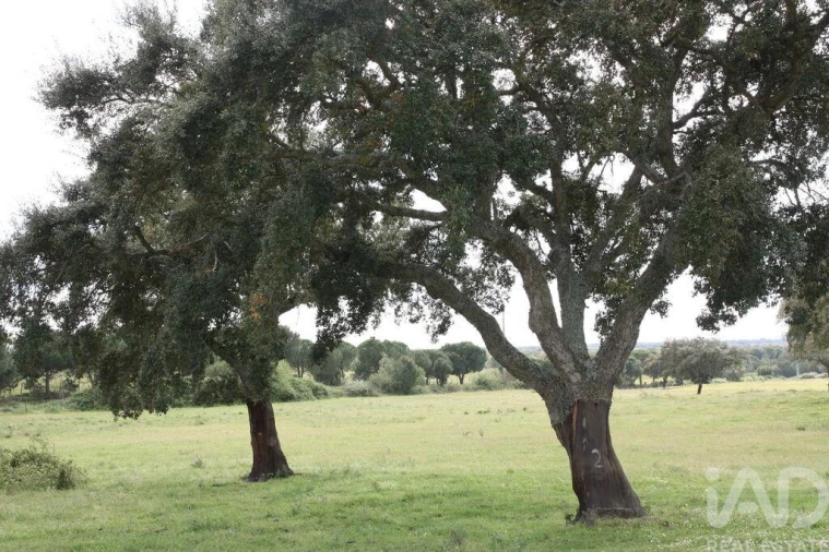 Terreno para Venda em Poceirão e Marateca Foto 23