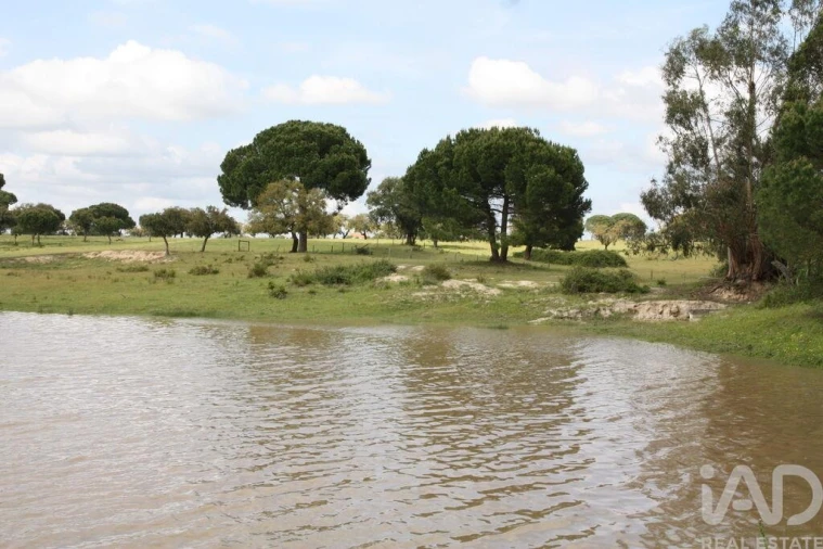 Terreno para Venda em Poceirão e Marateca Foto 27