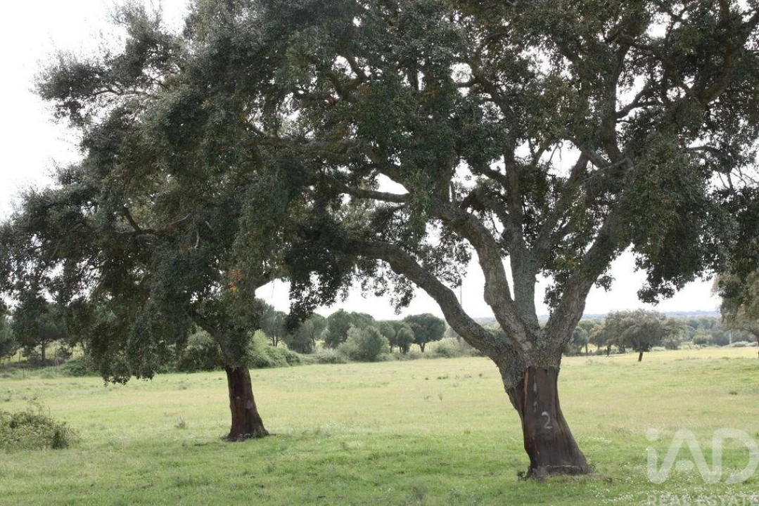 Terreno para Venda em Poceirão e Marateca Foto 23