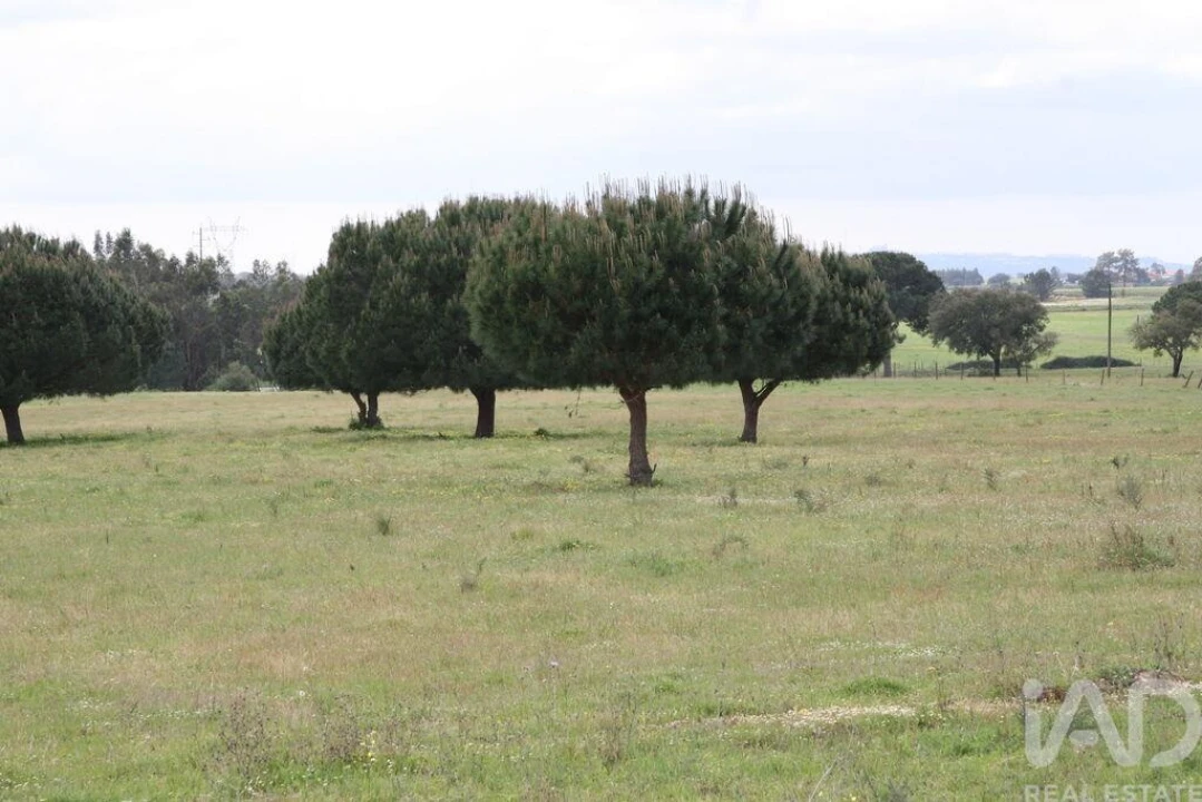 Terreno para Venda em Poceirão e Marateca Foto 20