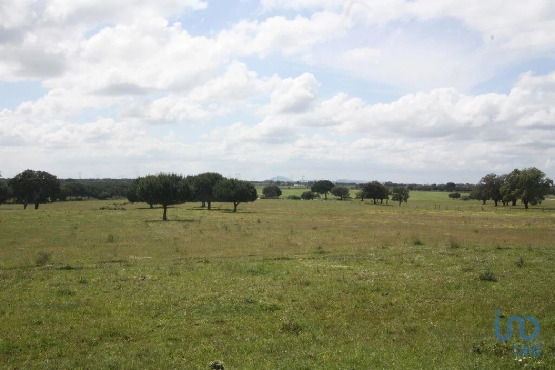 Terreno para Venda em Poceirão e Marateca Foto 13