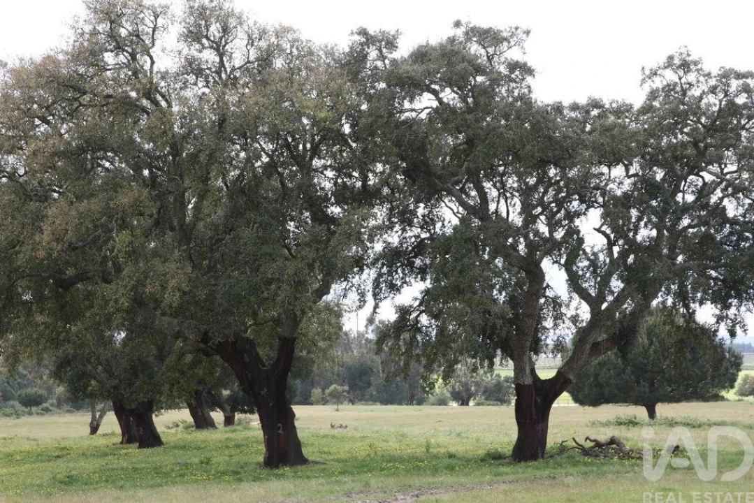 Terreno para Venda em Poceirão e Marateca Foto 21