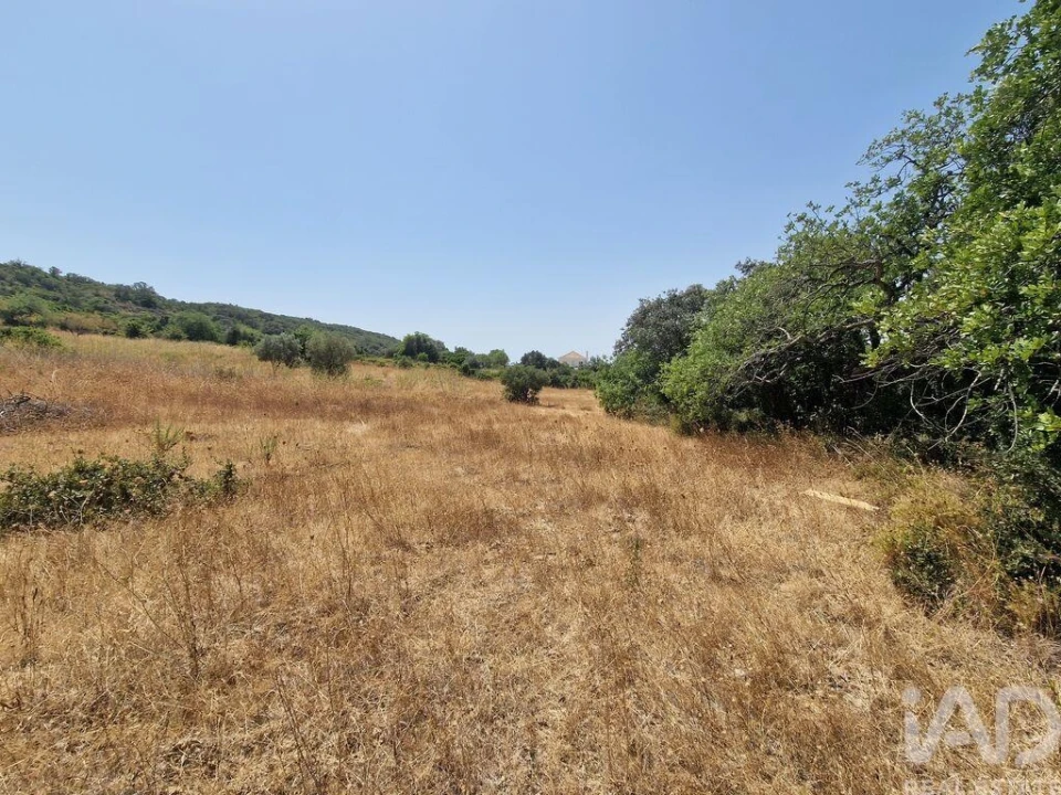 Terreno para Venda em Santa Barbara de Nexe Foto 19