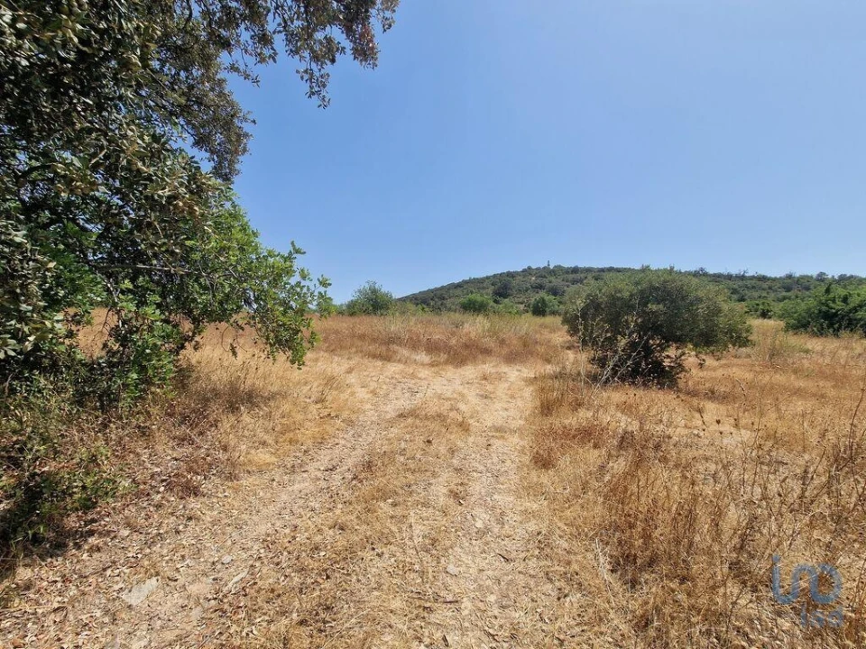 Terreno para Venda em Santa Barbara de Nexe Foto 7