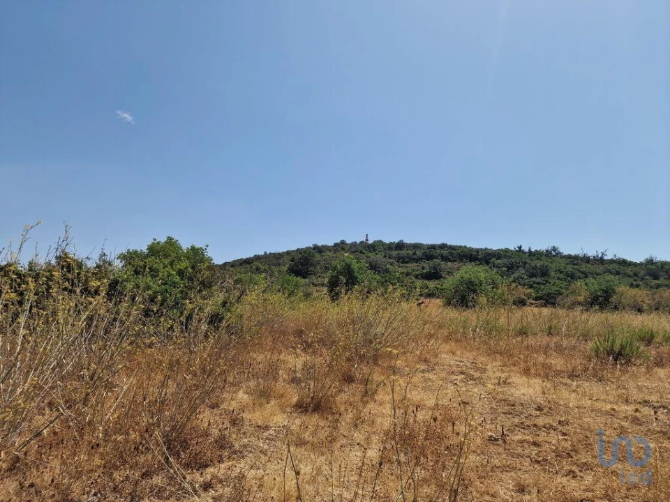 Terreno para Venda em Santa Barbara de Nexe Foto 13