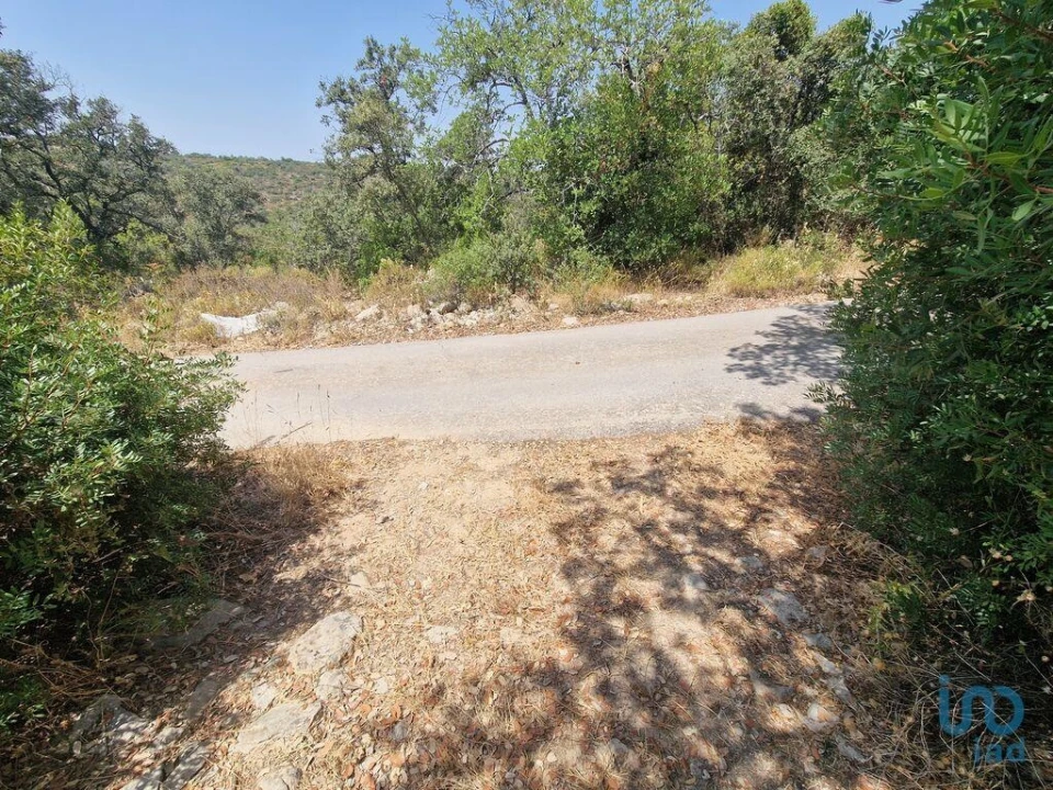 Terreno para Venda em Santa Barbara de Nexe Foto 4