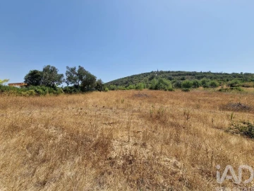 Terreno para Venda em Santa Barbara de Nexe